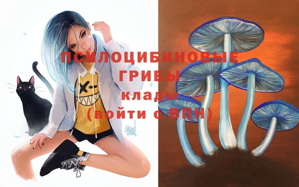 метамфетамин Липки