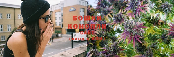 стаф Ладушкин