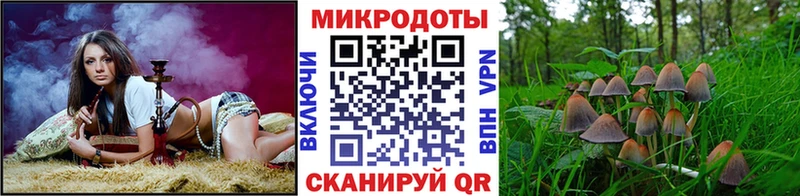 Галлюциногенные грибы мицелий  где найти наркотики  Лосино-Петровский 