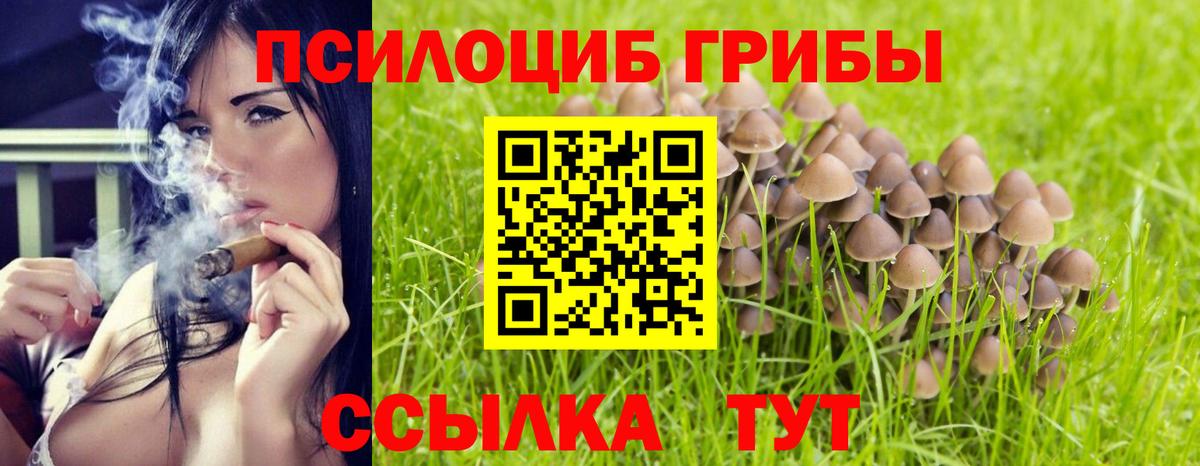 сколько стоит  Галлюциногенные грибы ЛСД  Псилоцибиновые грибы мухоморы  Вход с VPN  Лосино-Петровский 