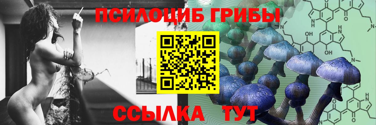 Псилоцибиновые грибы Psilocybine cubensis Лосино-Петровский